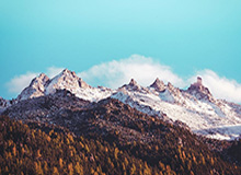 开云登录-美加冰球梦幻对决火药味十足